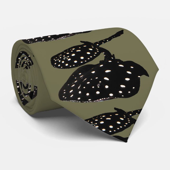 Corbata Xingu River ray ネクタイ (Enrollado)