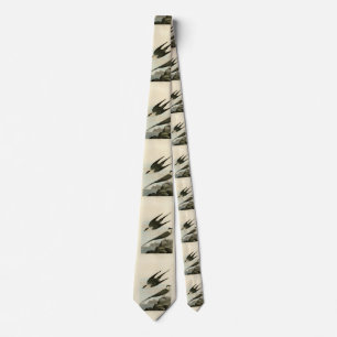 Corbata Yager Ártico (Jager) - Aves de América de Audubon