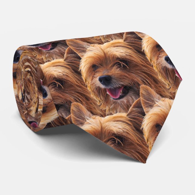 Corbata Yorkie Dog (Enrollado)