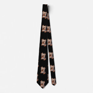 Corbata Yorkshire Terrier