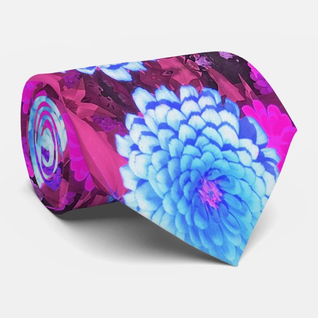 Corbata Zinnia azul bonito en el jardín de verano morado (Enrollado)