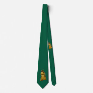 CorbataSquirrelly Elegante   Corbata de Novedad Ve
