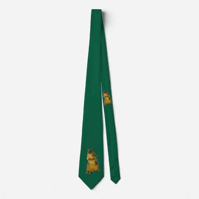 CorbataSquirrelly Elegante | Corbata de Novedad Ve (Anverso)