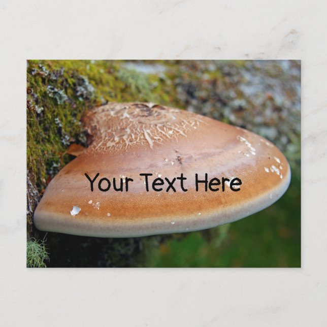 Corchetes fungus postal personalizable (Anverso)