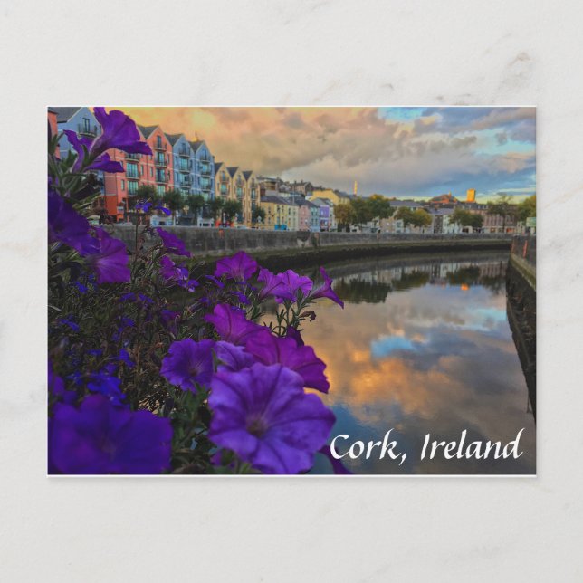 Corcho, flores de Irlanda, postal de Lee del río (Anverso)