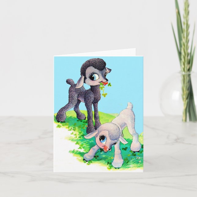 cordero blanco negro (Anverso)