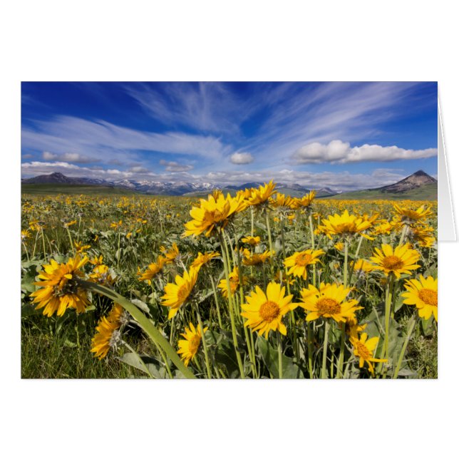 Cordillera de Montaña Rocosa (Anverso (Horizontal))