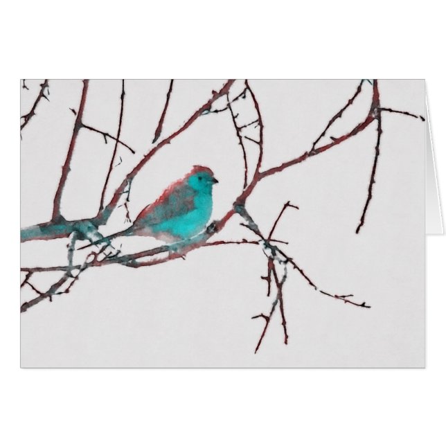 Cordon bleu Waxbill (Anverso (Horizontal))