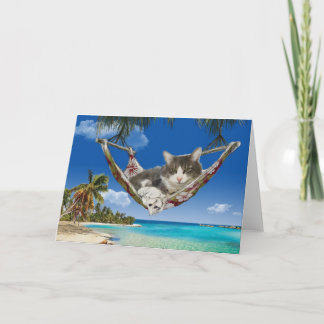 Corduroy en el Caribe, gato con tarjeta de hamaca