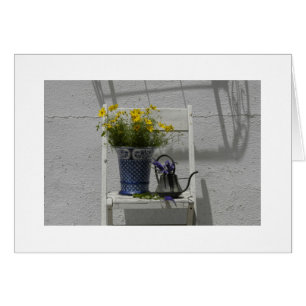 Corepsis en silla vieja