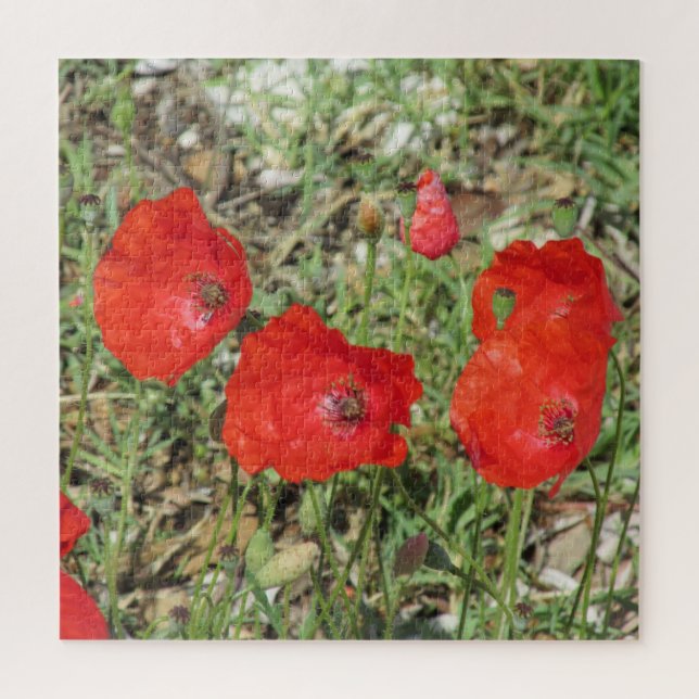 Corfu Red Poppies Jigsaw Puzzle (Vertical)
