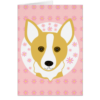 Corgi
