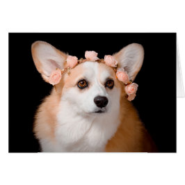 Corgi con flores en el pelo