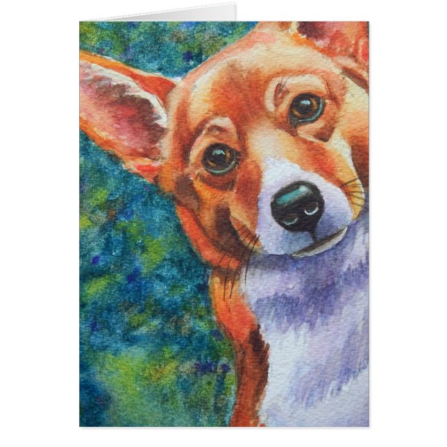 Corgi Curious Dog (Frente)