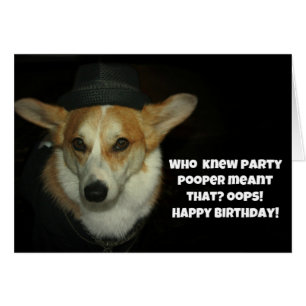 Corgi del pooper del fiesta