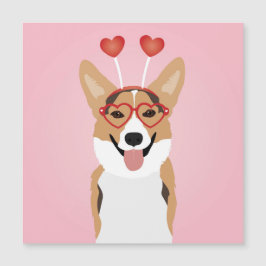 Corgi Dog Día de San Valentín