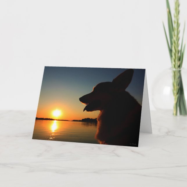 Corgi en la tarjeta de condolencia Sunset (Anverso)