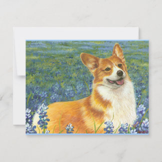 Corgi galés de pembroke en Bluebonnets de Texas