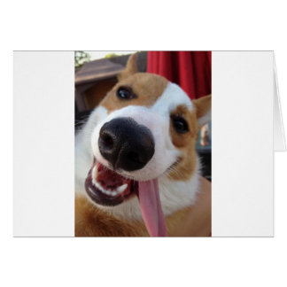 Corgi galés de pembroke rojo y blanco