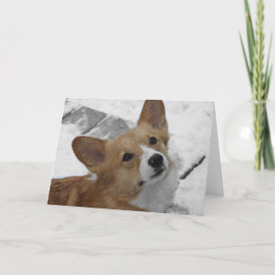 Corgi Galés del Pembroke en tarjeta de la nieve