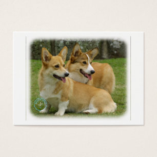 Corgi Galés (Pembroke)