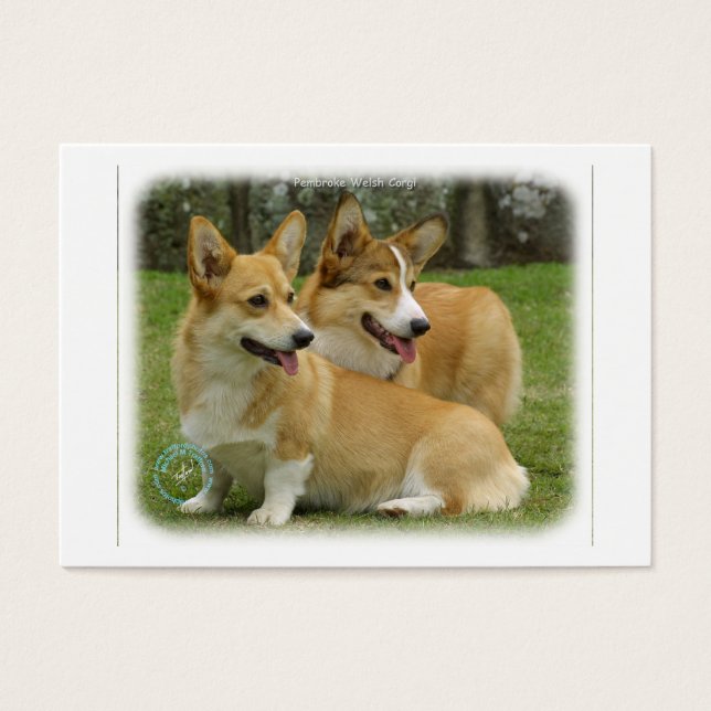 Corgi galés (Pembroke) (Frente)
