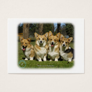 Corgi Galés (Pembroke)