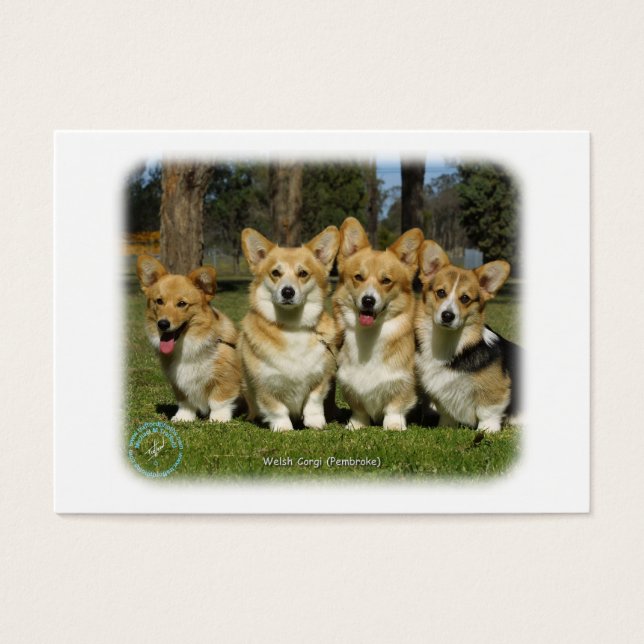 Corgi galés (Pembroke) (Frente)