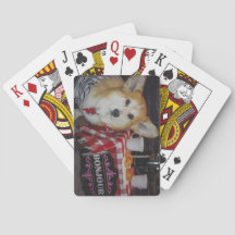 Corgi jugando cartas