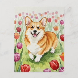 Corgi lindo en la postal de Tulips