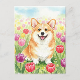Corgi lindo en la postal de Tulips