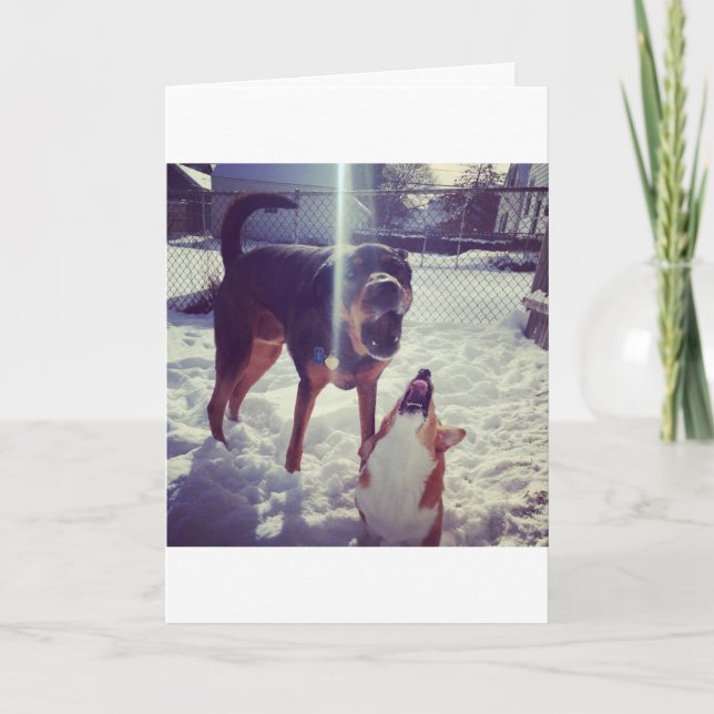 Corgi Mejor Tarjeta de Cumpleaños de Amigo (Anverso)