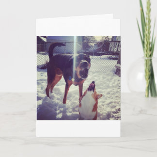 Corgi Mejor Tarjeta de Cumpleaños de Amigo