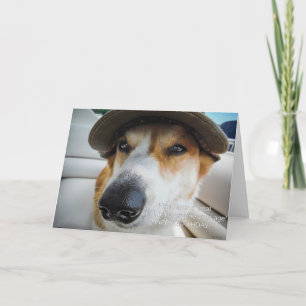 Corgi pide que se trate la tarjeta de cumpleaños