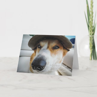Corgi pide que se trate la tarjeta de cumpleaños