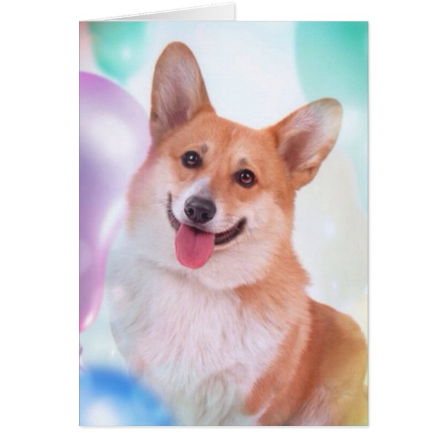 Corgi sonriente con los globos (Frente)