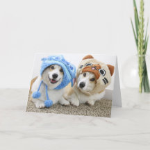 Corgis en Gorras tarjeta de felicitación doblada