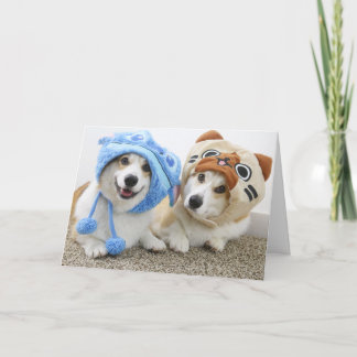 Corgis en Gorras tarjeta de felicitación doblada