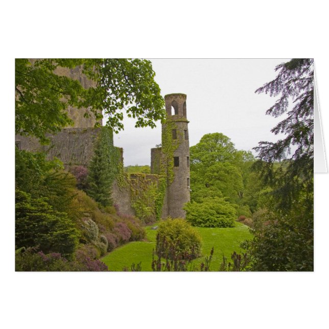 Cork, Irlanda. El infame Castillo Blarney 2 (Anverso (Horizontal))