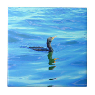 cormorán en azulejo azul