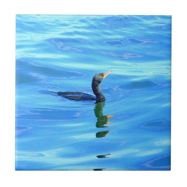 cormorán en azulejo azul (Frente)