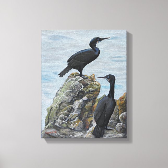 Cormoranes sobre rocas se imprimen sobre lienzo (Anverso)