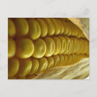 Corn cerrar postal