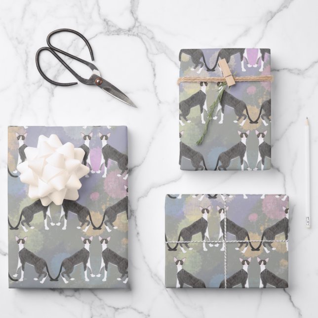 Cornish Rex Cats Envolver hojas de papel (Anverso)