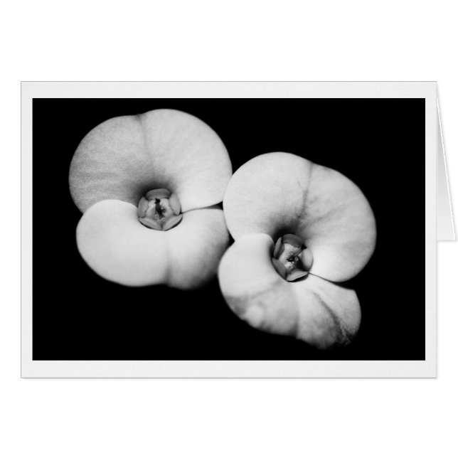 corona de espinas (Anverso (Horizontal))