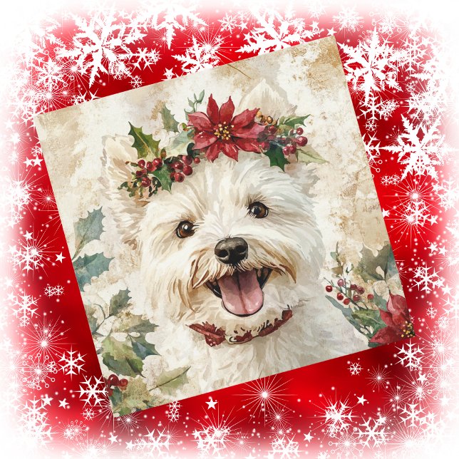 Corona floral de Navidad para Westie (Subido por el creador)