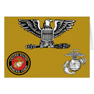 Coronel 0-6 del USMC Col