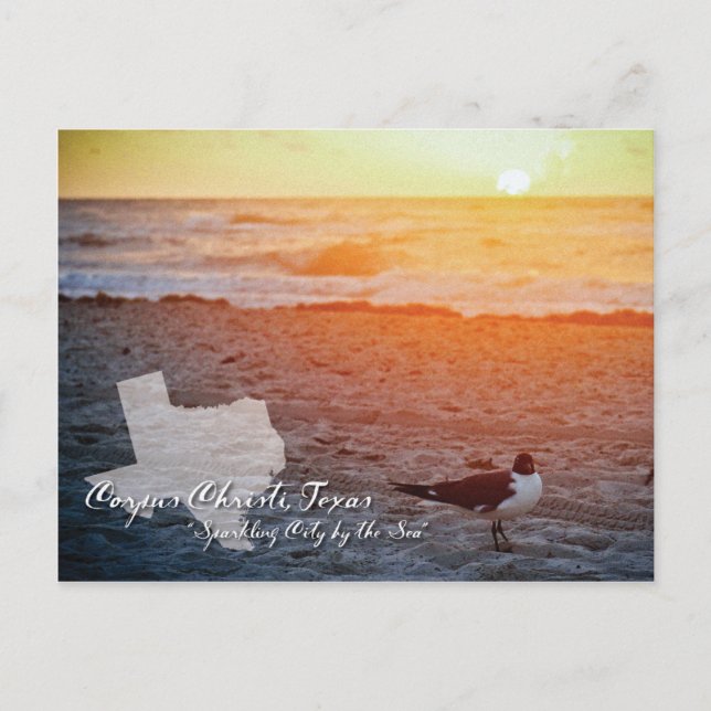 Corpus Christi, postal de Texas (Anverso)