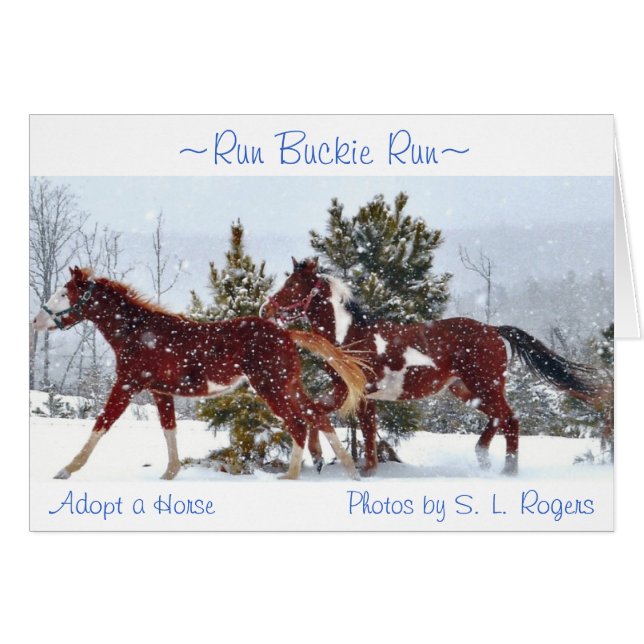 "Corra Buckie corrido " (Anverso (Horizontal))