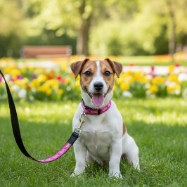 Correa Para Mascotas LOVE Mascota Leash